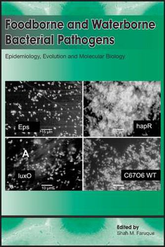 Cover image for Foodborne and Waterborne Bacterial Pathogens: Epidemiology, Evolution and Molecular Biology