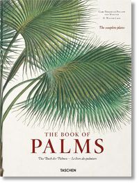 Cover image for Martius. The Book of Palms