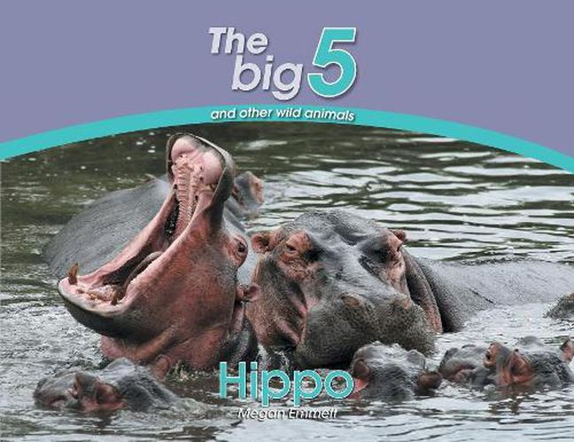 Cover image for Hippo: The Big 5 and other wild animals