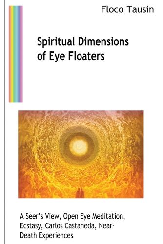 Cover image for Spiritual Dimensions of Eye Floaters