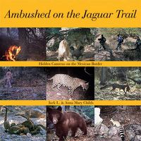 Cover image for Ambushed on the Jaguar Trail: Hidden Cameras on the Mexican Border