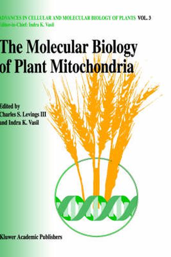 Cover image for The molecular biology of plant mitochondria