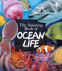Cover image for The Amazing Book of Ocean Life