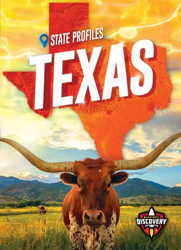 Cover image for Texas