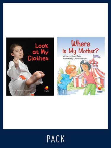 Cover image for Flying Start Guided Reading Pack Level 5, Pack 1: Paired student books (6x6) and lesson plan (1)