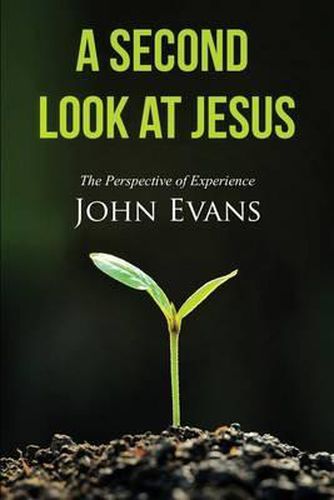 Cover image for A Second Look at Jesus: The Perspective of Experience