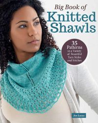 Cover image for Big Book of Knitted Shawls