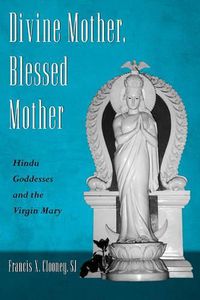 Cover image for Divine Mother, Blessed Mother: Hindu Goddesses and the Virgin Mary