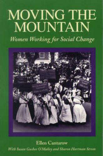 Cover image for Moving the Mountain: Women Working for Social Change