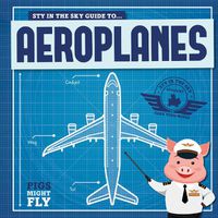 Cover image for Aeroplanes