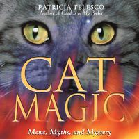 Cover image for Cat Magic: Mews Myths and Mystery