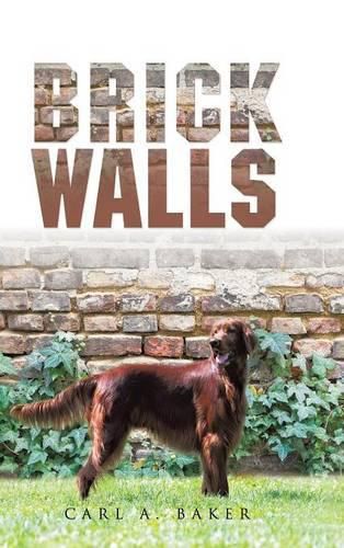 Cover image for Brick Walls