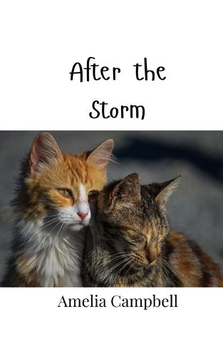 Cover image for After the Storm