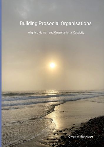 Cover image for Building Prosocial Organisations