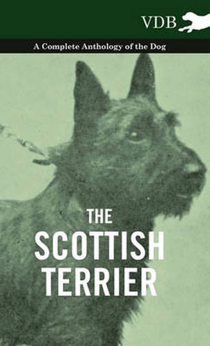 Cover image for The Scottish Terrier - A Complete Anthology of the Dog