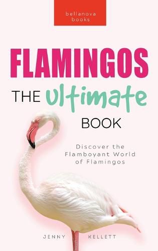 Flamingos The Ultimate Flamingo Book for Kids