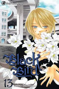 Cover image for Black Bird, Vol. 13