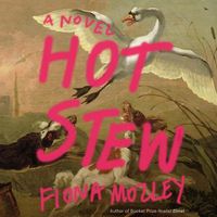 Cover image for Hot Stew