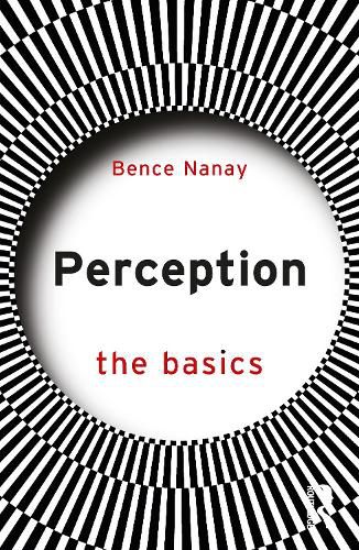 Cover image for Perception: The Basics