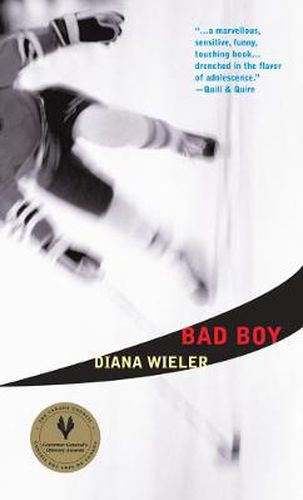 Cover image for Bad Boy