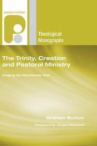 Cover image for The Trinity, Creation and Pastoral Ministry: Imaging the Perichoretic God