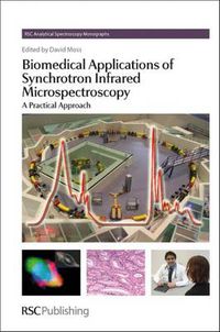 Cover image for Biomedical Applications of Synchrotron Infrared Microspectroscopy: A Practical Approach
