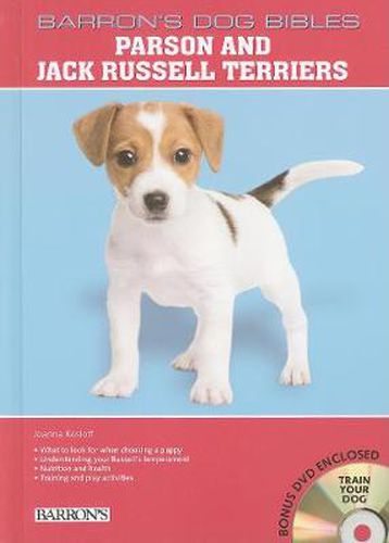 Parson and Jack Russell Terriers