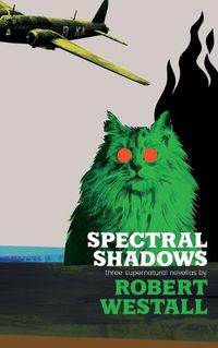 Cover image for Spectral Shadows
