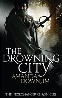 Cover image for The Drowning City