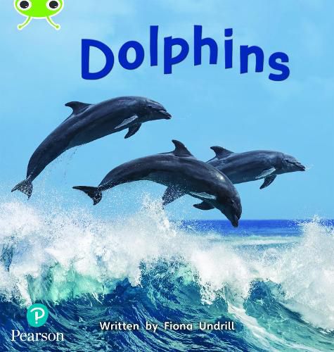 Cover image for Bug Club Phonics Non-Fiction Year 1 Phase 5 Unit 13 Dolphins