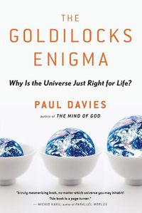 Cover image for The Goldilocks Enigma: Why Is the Universe Just Right for Life?