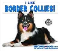 Cover image for I Like Border Collies!