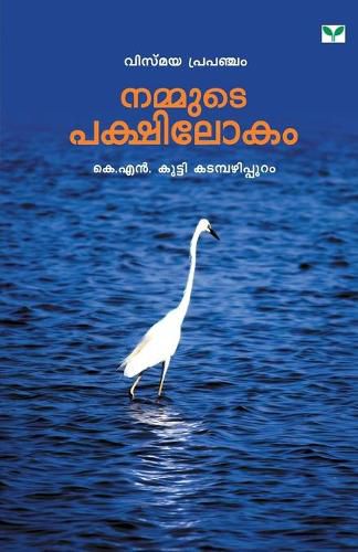 Cover image for Nammutepakshilokam