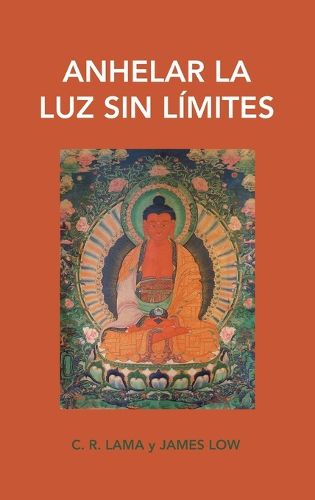 Cover image for Anhelar la luz sin limites