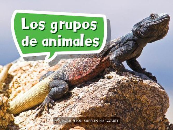 Cover image for Book 029: Los Grupos de Animales: Leveled Reader, Enrichment Grade K