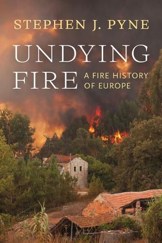 Cover image for Undying Fire