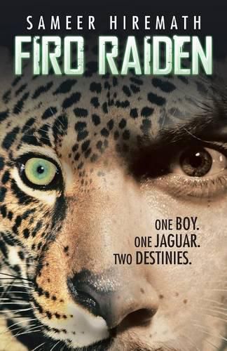 Cover image for Firo Raiden