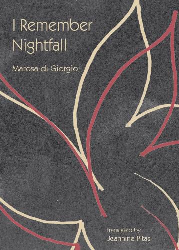 Cover image for I Remember Nightfall