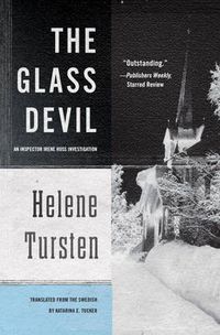 Cover image for The Glass Devil