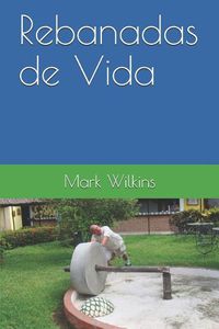 Cover image for Rebanadas de Vida