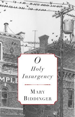 Cover image for O Holy Insurgency