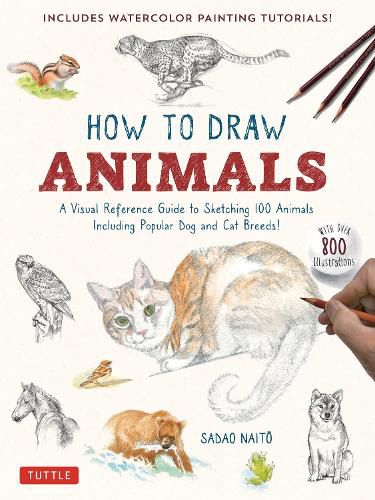 Cover image for How to Draw Animals