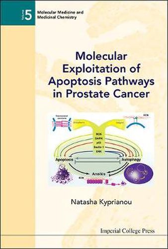 Cover image for Molecular Exploitation Of Apoptosis Pathways In Prostate Cancer