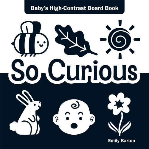 Cover image for So Curious