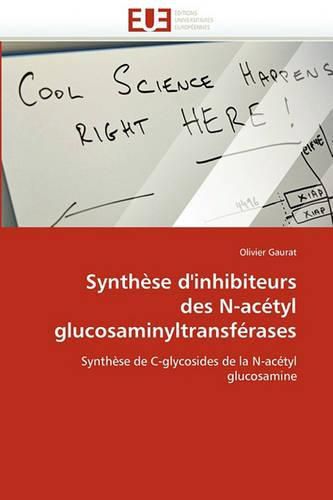 Cover image for Synth Se D'Inhibiteurs Des N-AC Tyl Glucosaminyltransf Rases