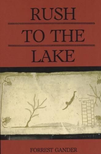 Cover image for Rush to the Lake