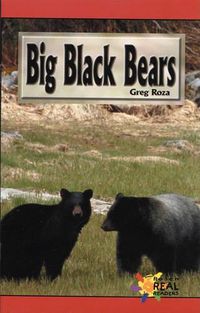 Cover image for Big Black Bears