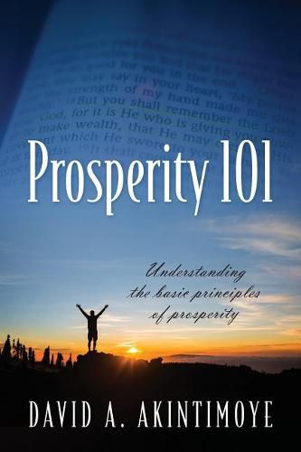 Cover image for Prosperity 101: Understanding the Basic Principles of Prosperity