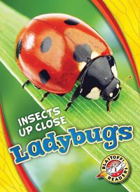 Cover image for Ladybugs