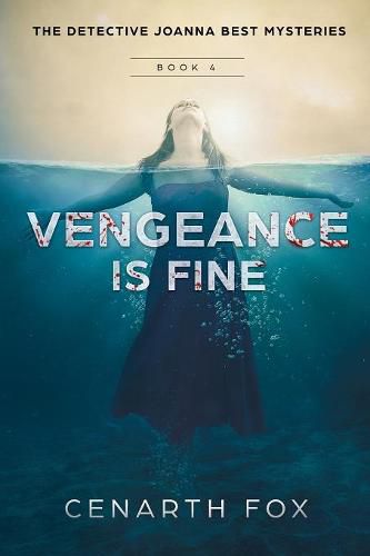 Cover image for Vengeance is Fine